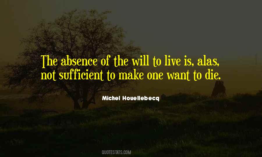 Michel Houellebecq Quotes #876343