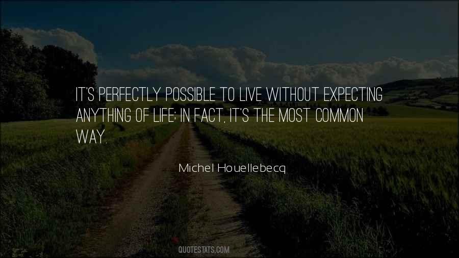 Michel Houellebecq Quotes #927824