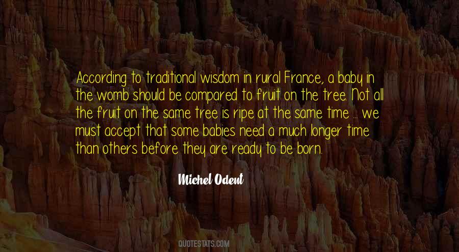 Michel Odent Quotes #1510490