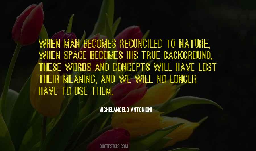 Michelangelo Antonioni Quotes #491209