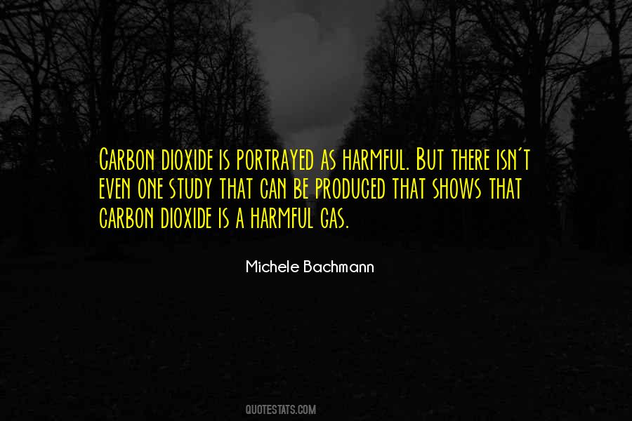 Michele Bachmann Quotes #1463253