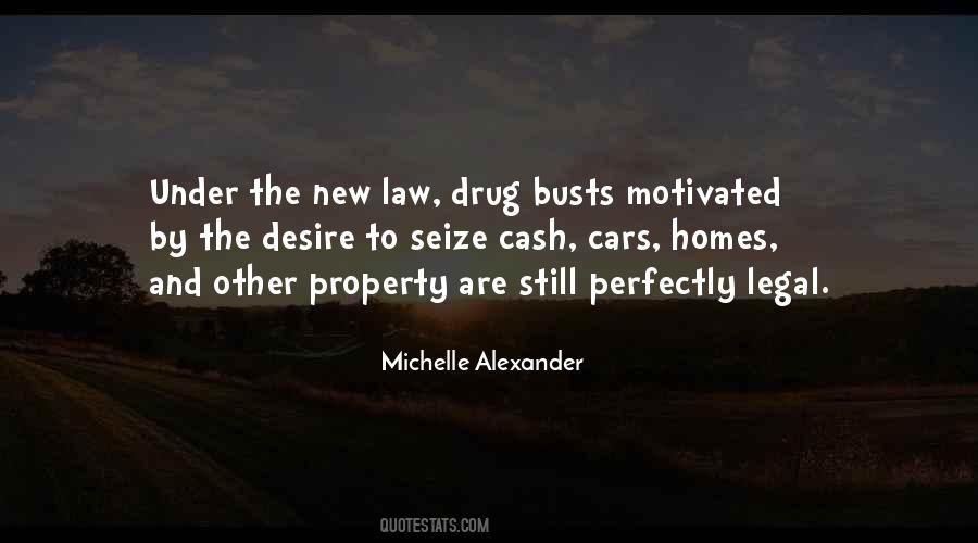 Michelle Alexander Quotes #320271