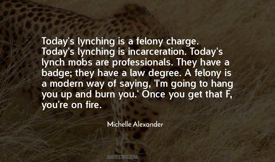 Michelle Alexander Quotes #428661
