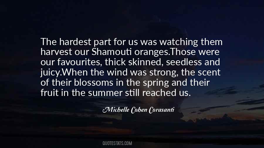 Michelle Cohen Corasanti Quotes #1338885