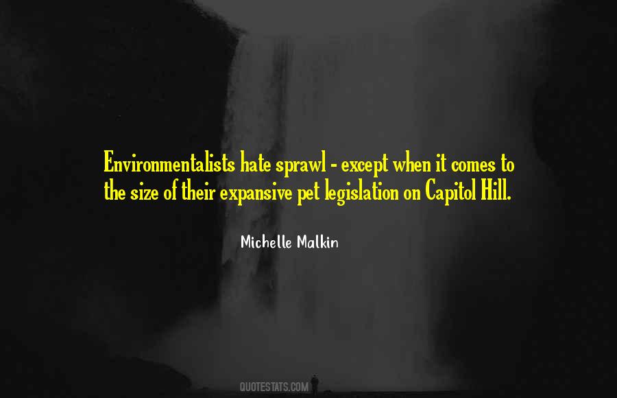 Michelle Malkin Quotes #968437