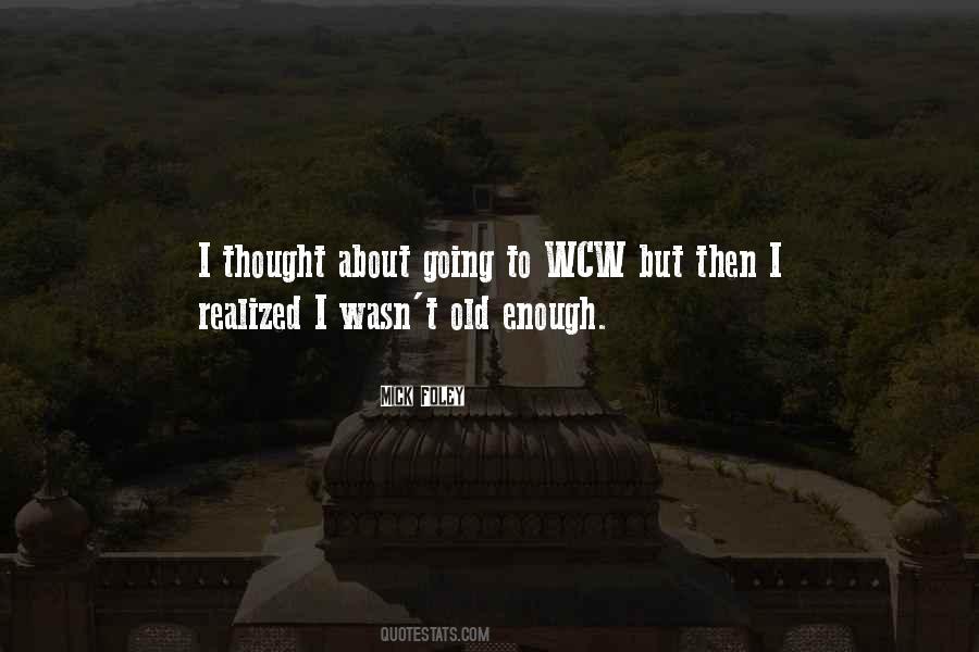 Mick Foley Quotes #749008