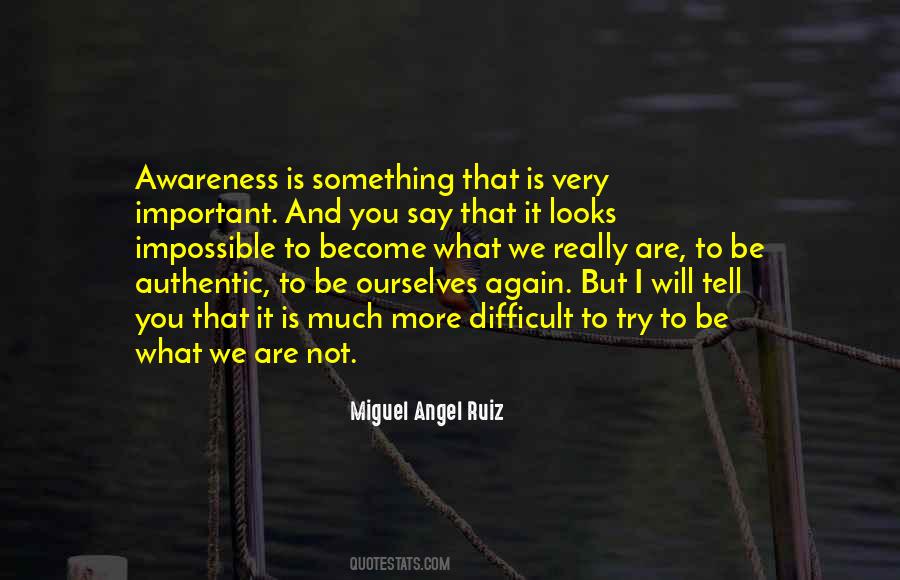 Miguel Angel Ruiz Quotes #1569505