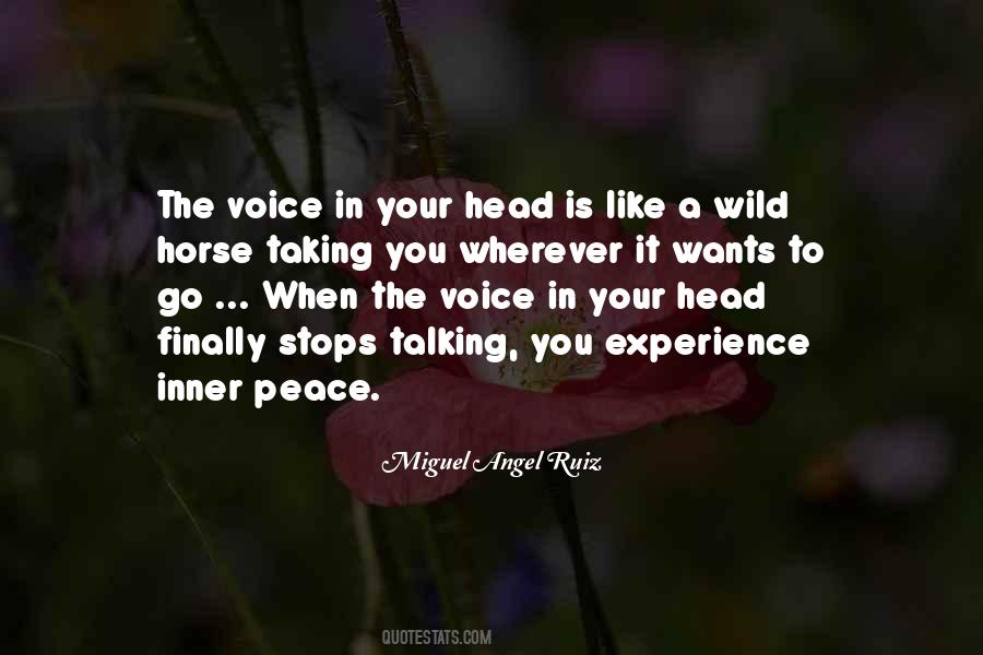 Miguel Angel Ruiz Quotes #856118