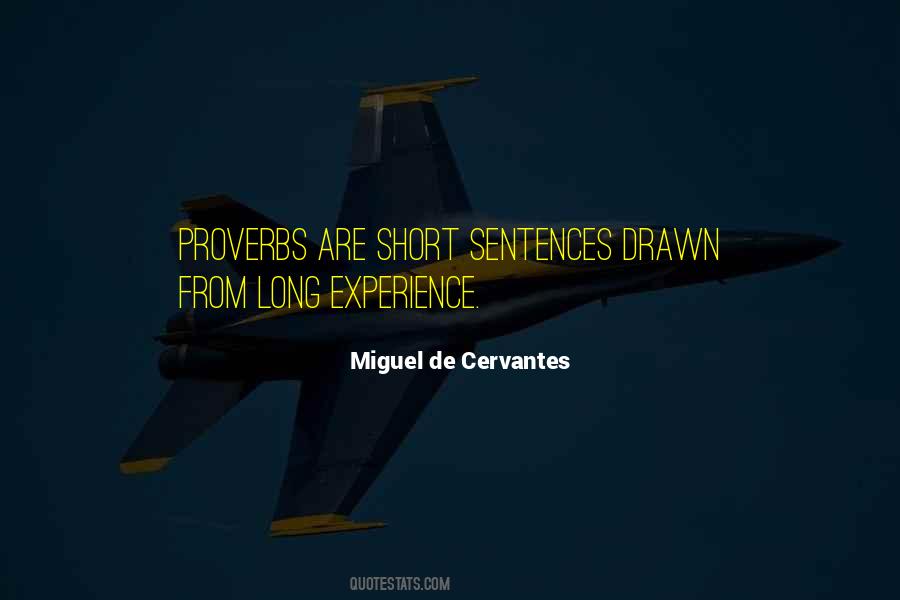 Miguel De Cervantes Quotes #308139