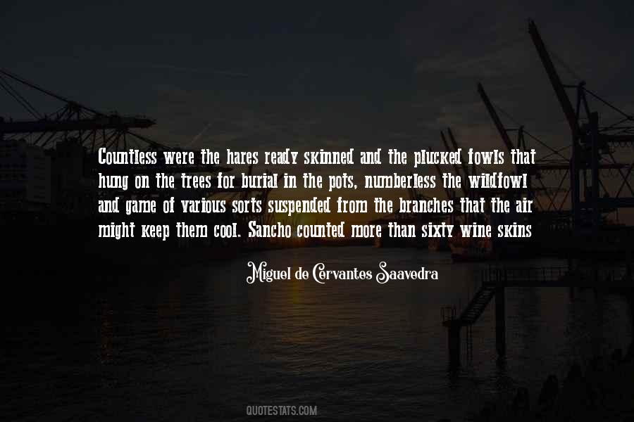 Miguel De Cervantes Saavedra Quotes #842123