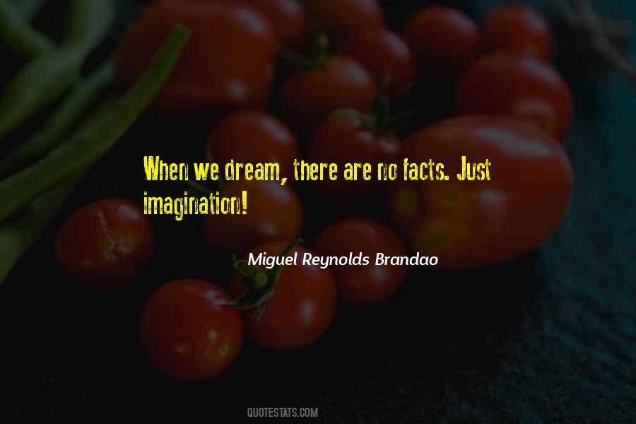 Miguel Reynolds Brandao Quotes #87238