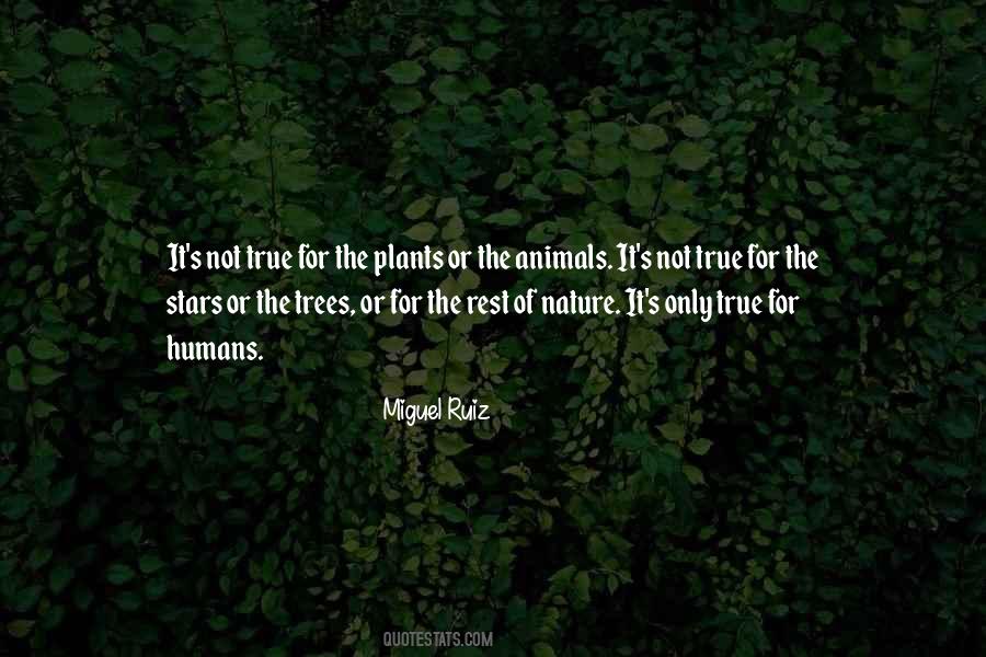 Miguel Ruiz Quotes #10592