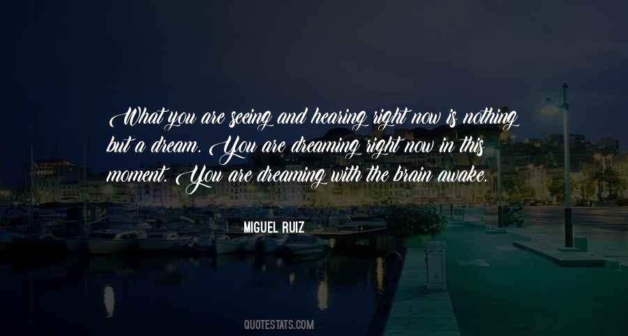 Miguel Ruiz Quotes #1164202