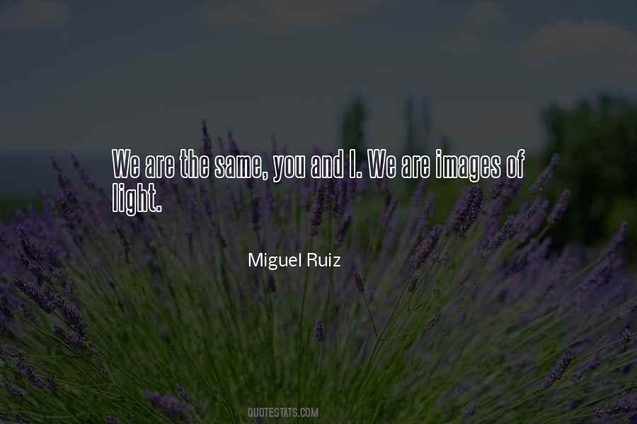 Miguel Ruiz Quotes #668760