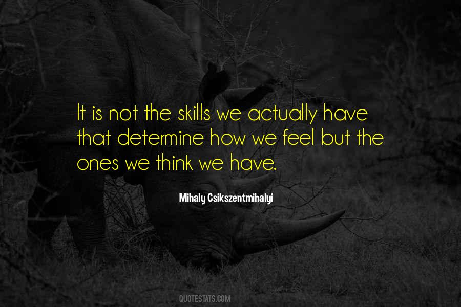Mihaly Csikszentmihalyi Quotes #1749849