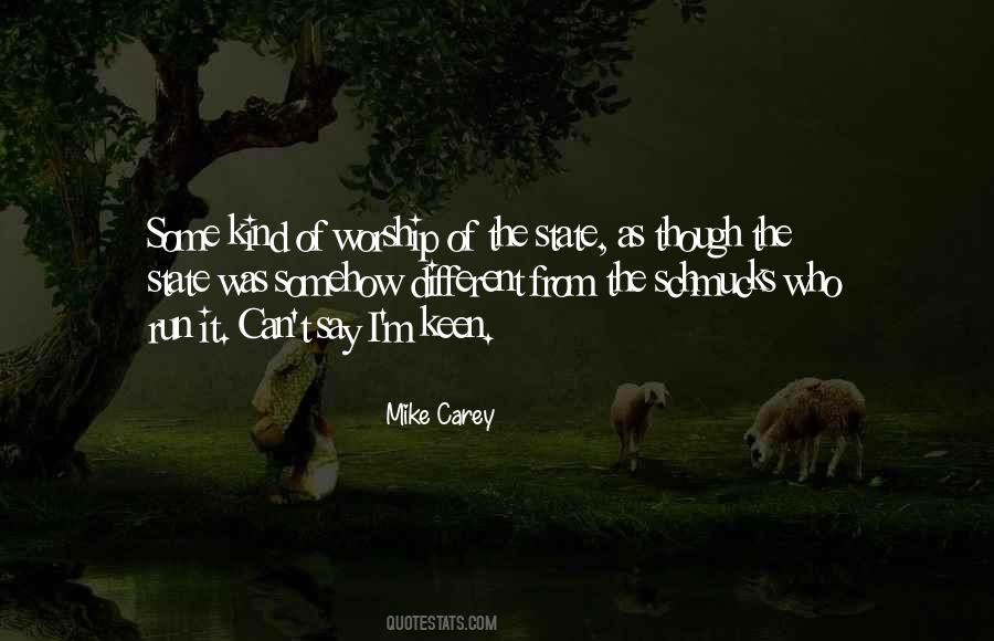 Mike Carey Quotes #1099415