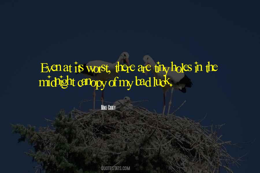 Mike Carey Quotes #1355452
