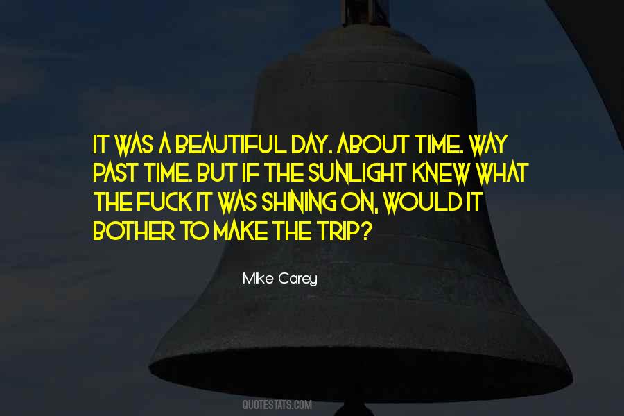 Mike Carey Quotes #963052