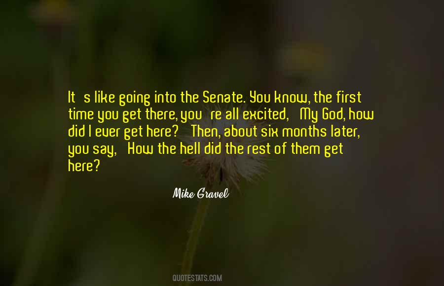 Mike Gravel Quotes #1696259
