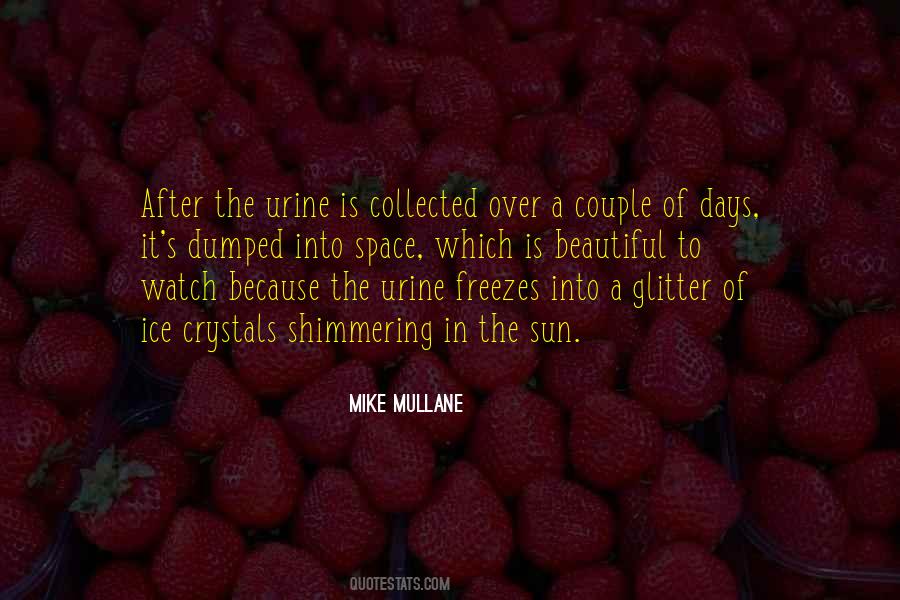 Mike Mullane Quotes #1005095