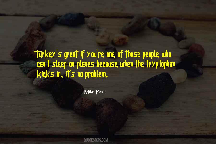 Mike Pesca Quotes #1032358