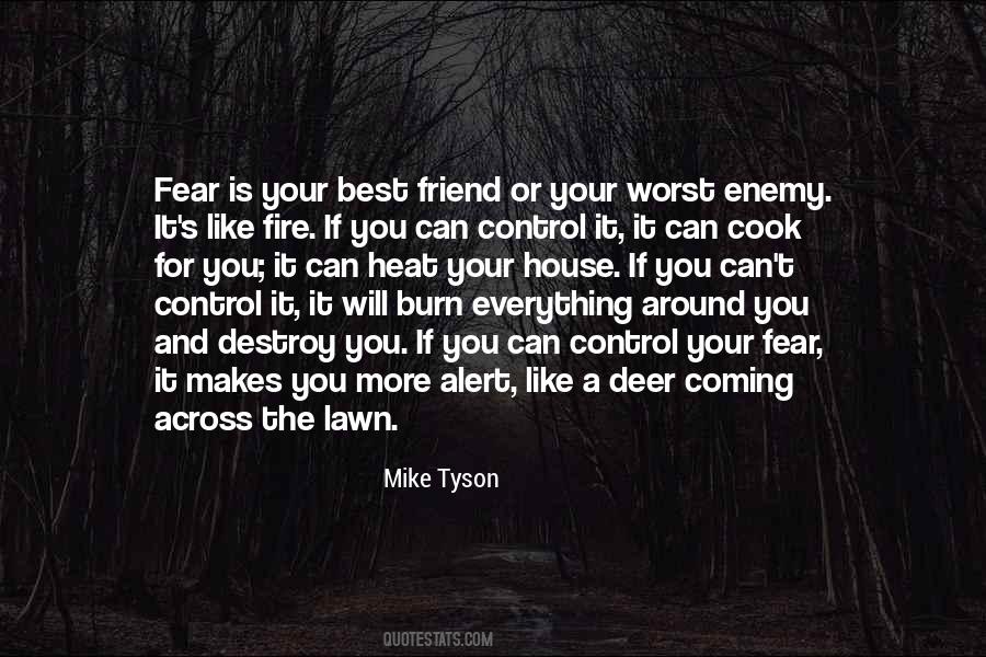 Mike Tyson Quotes #69888