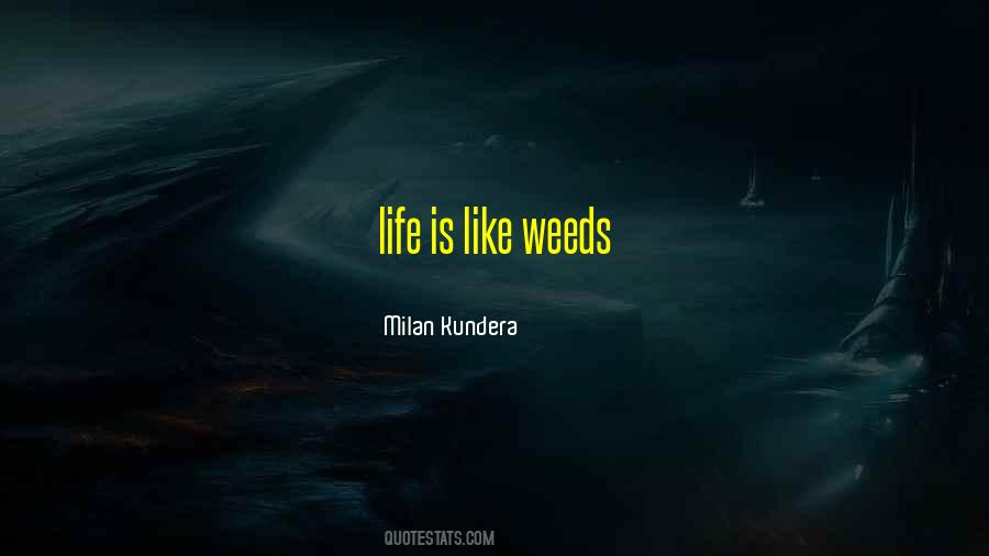 Milan Kundera Quotes #442554