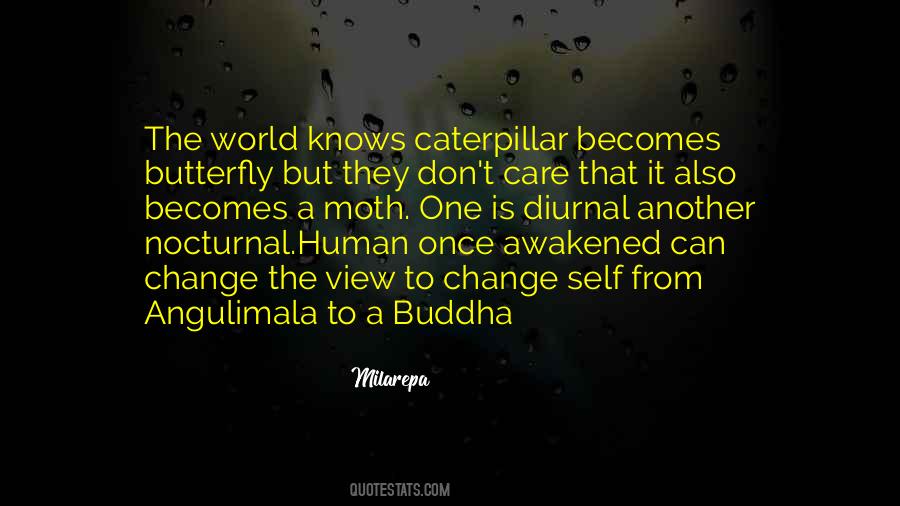 Milarepa Quotes #1761992