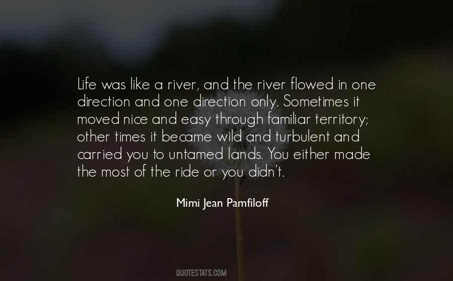 Mimi Jean Pamfiloff Quotes #585809