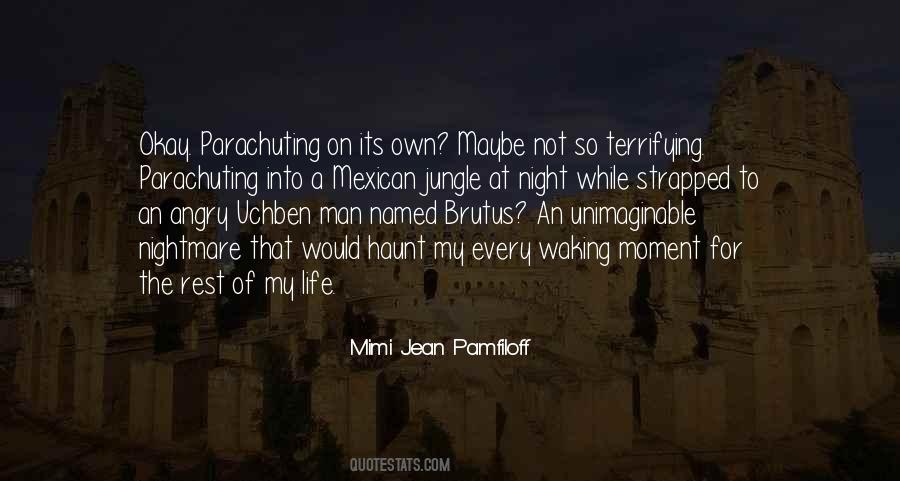 Mimi Jean Pamfiloff Quotes #751021