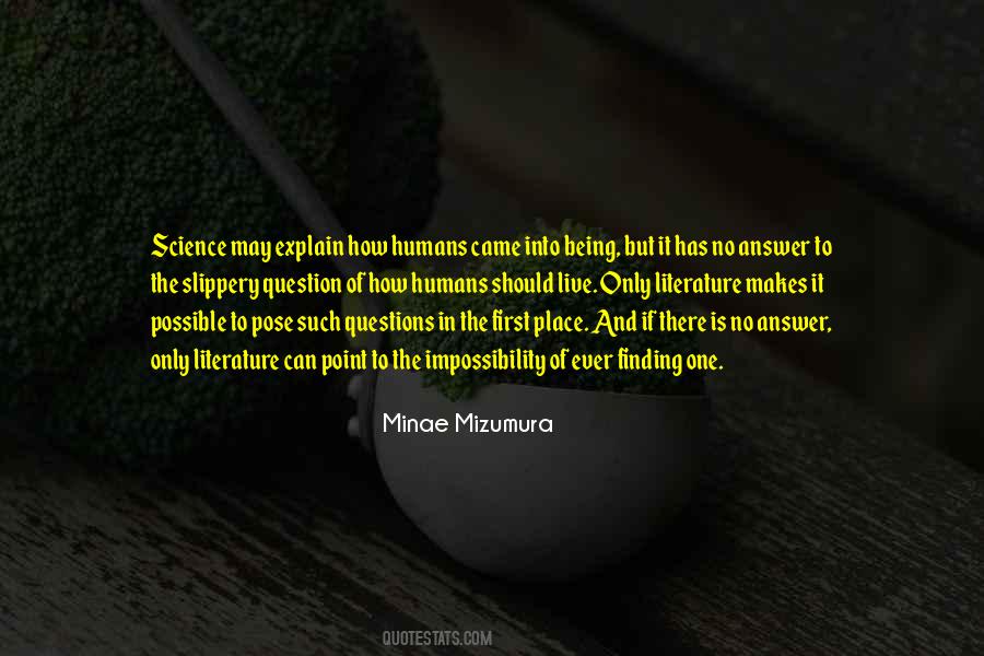 Minae Mizumura Quotes #77596