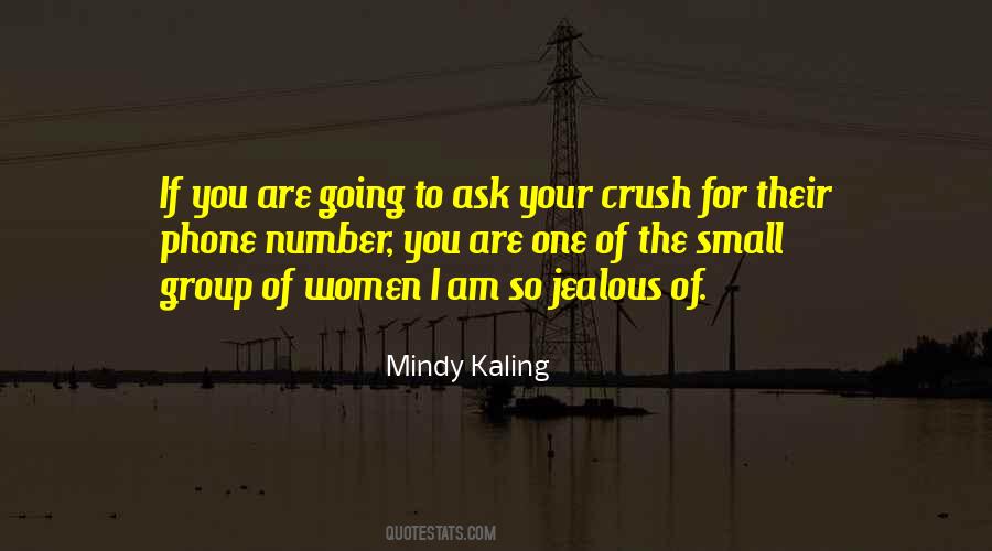 Mindy Kaling Quotes #963165