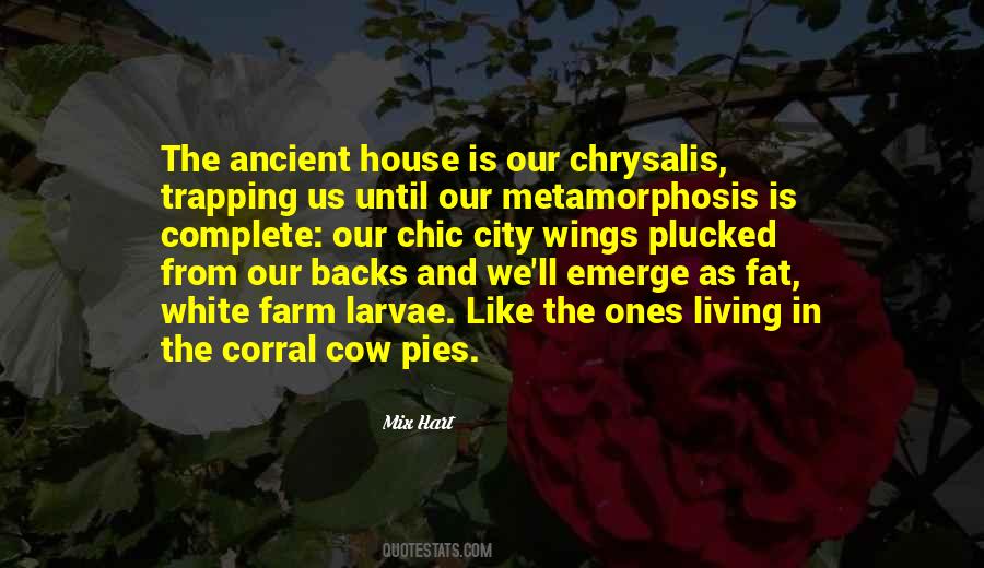 Mix Hart Quotes #770216 Mix Hart Quotes #770216
