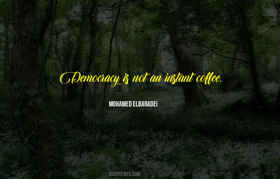 Mohamed ElBaradei Quotes #375740