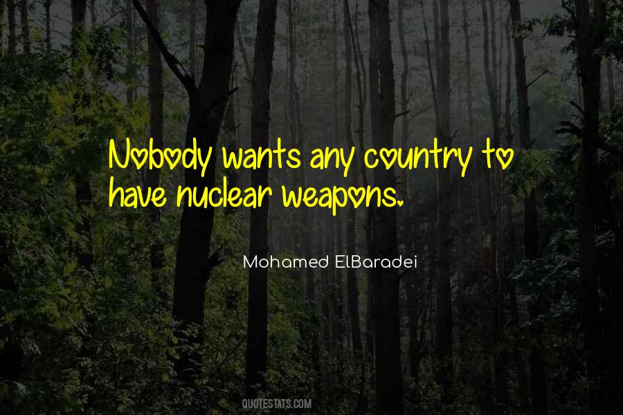 Mohamed ElBaradei Quotes #40506