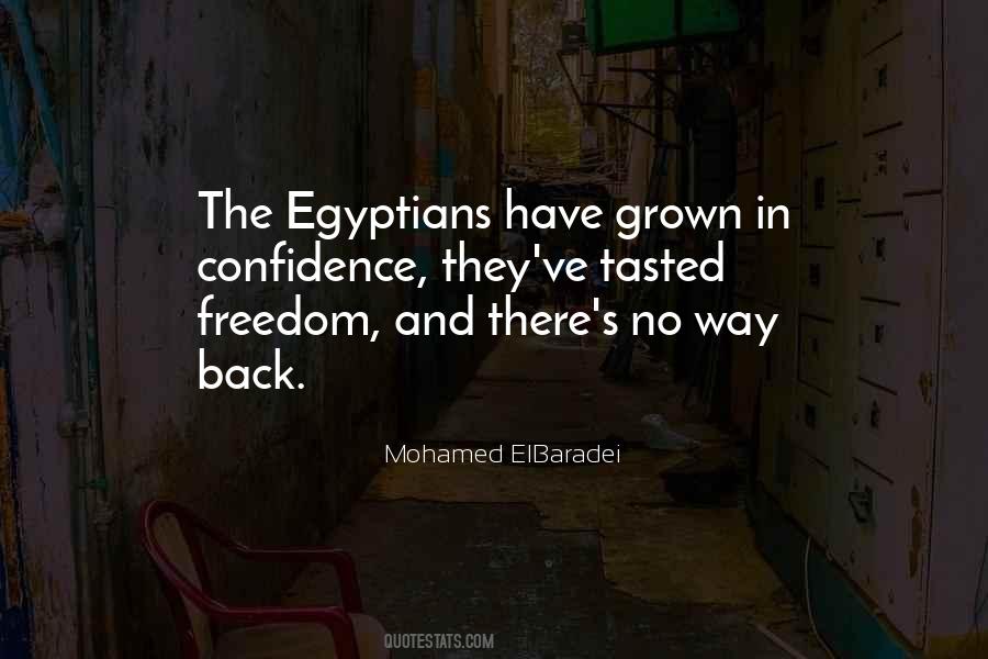 Mohamed ElBaradei Quotes #787505