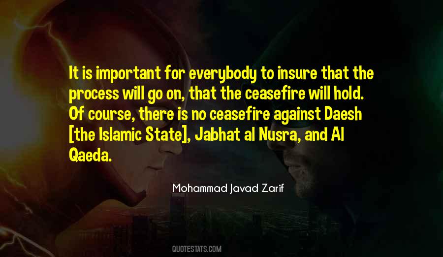 Mohammad Javad Zarif Quotes #1697192