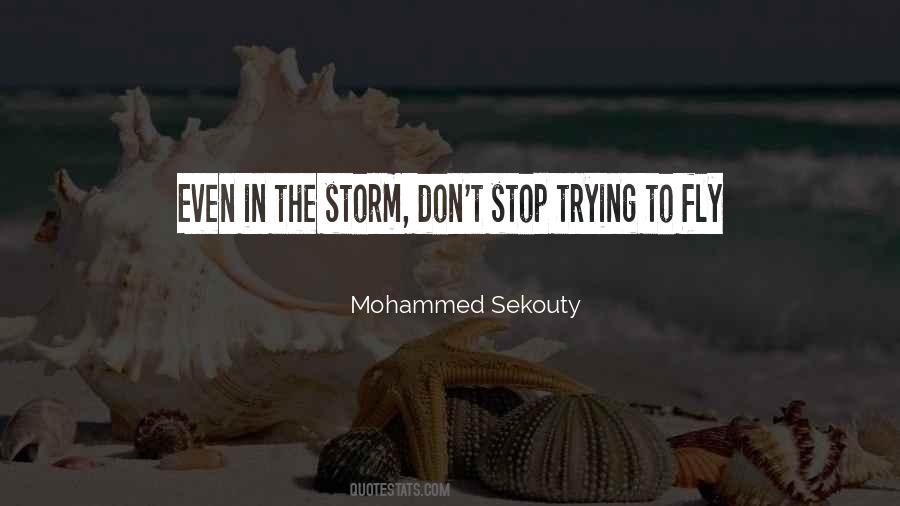 Mohammed Sekouty Quotes #1629199