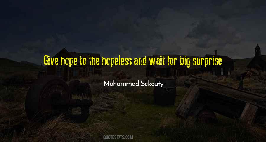 Mohammed Sekouty Quotes #265268