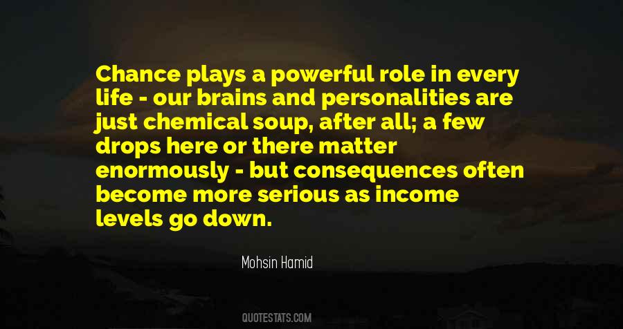 Mohsin Hamid Quotes #1486077