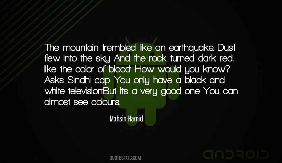 Mohsin Hamid Quotes #296880