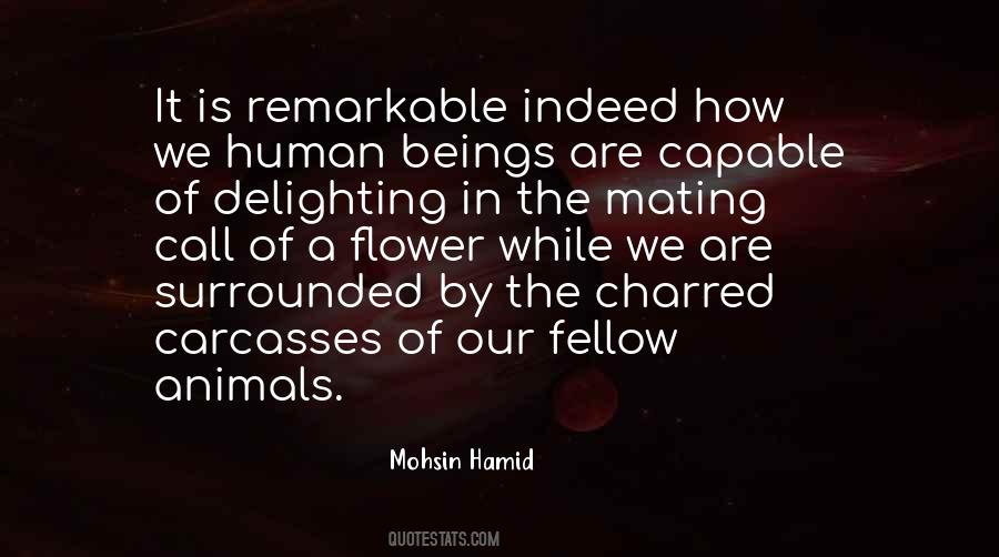 Mohsin Hamid Quotes #40802