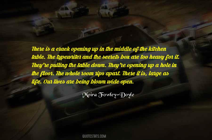 Moira Fowley-Doyle Quotes #802234