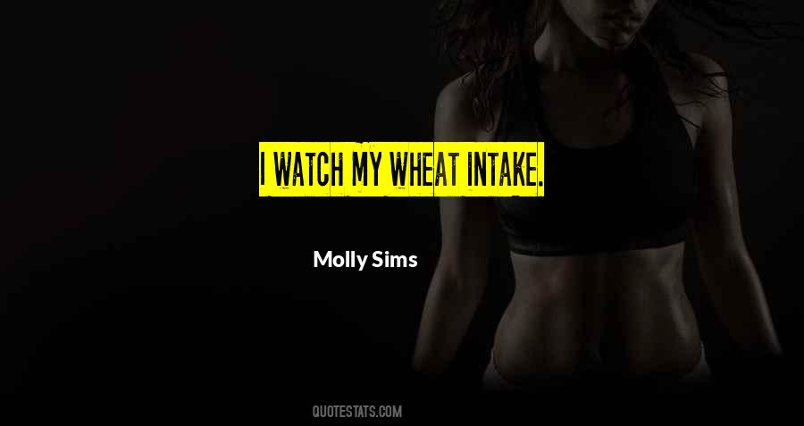 Molly Sims Quotes #166181