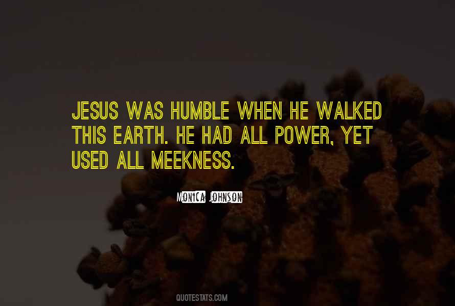Monica Johnson Quotes #1327434