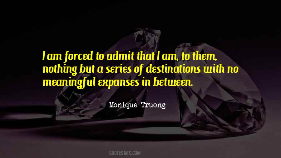 Monique Truong Quotes #909838