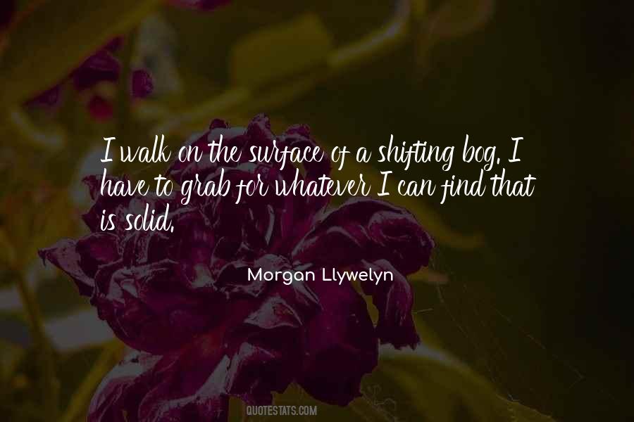 Morgan Llywelyn Quotes #853824