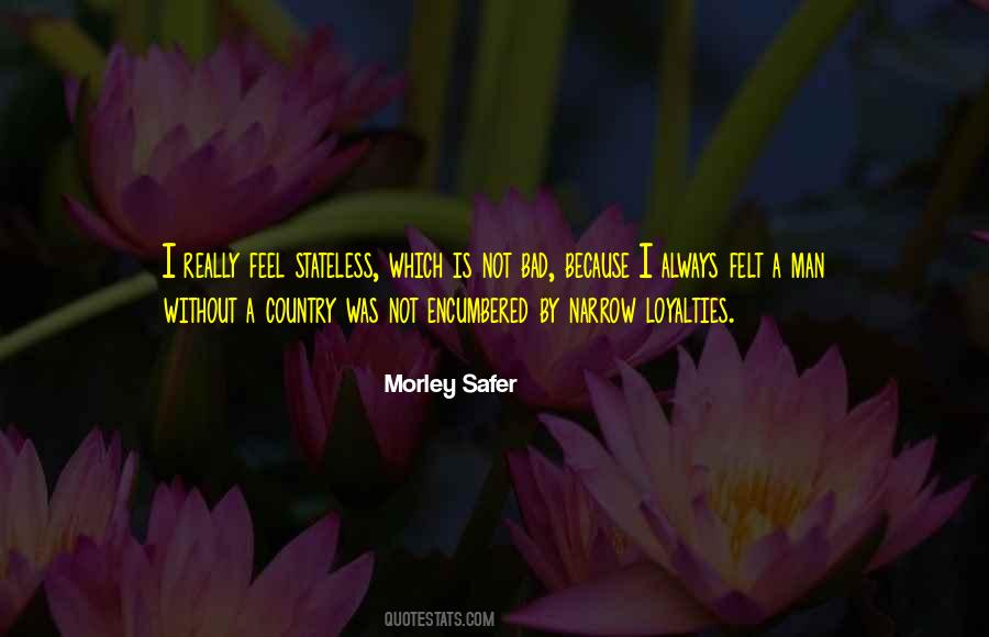 Morley Safer Quotes #88283