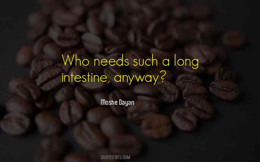 Moshe Dayan Quotes #577781