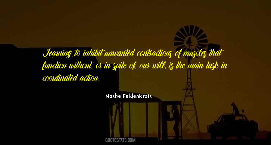 Moshe Feldenkrais Quotes #1618715